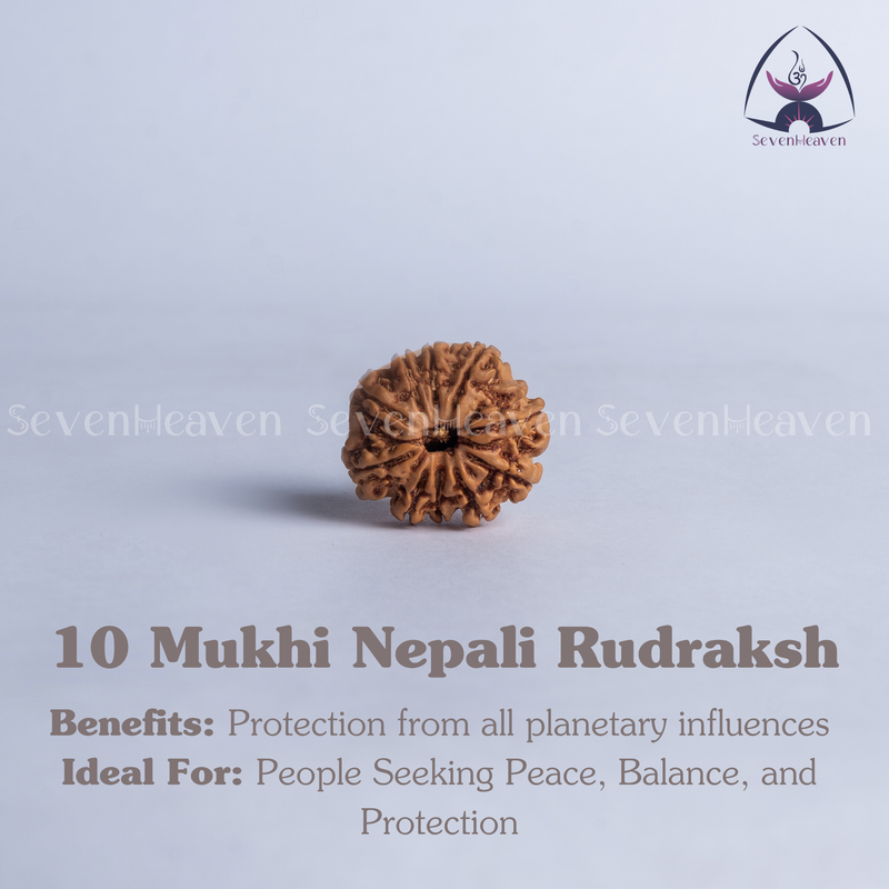 10 Mukhi Nepali Rudraksh