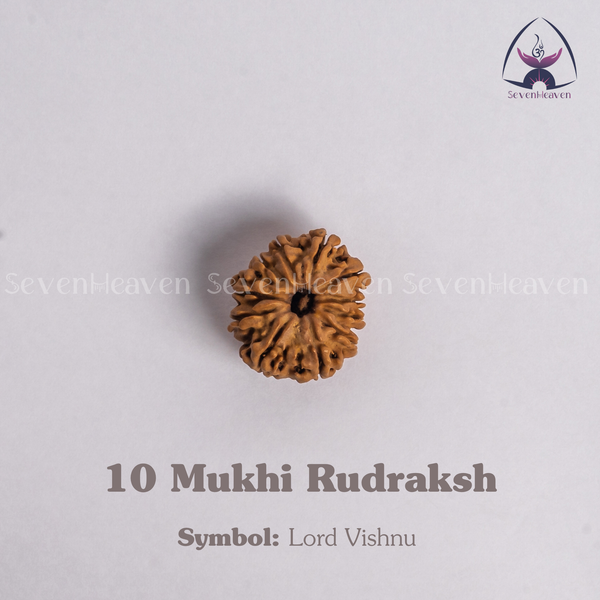 10 Mukhi Rudraksh