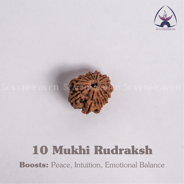 10 Mukhi Rudraksh