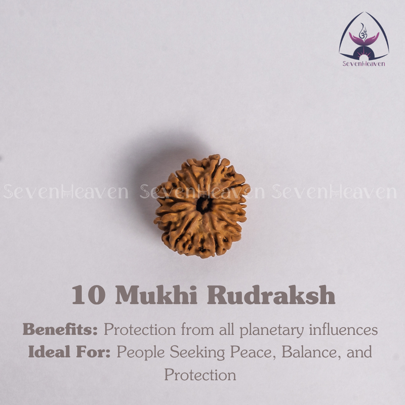 10 Mukhi Rudraksh
