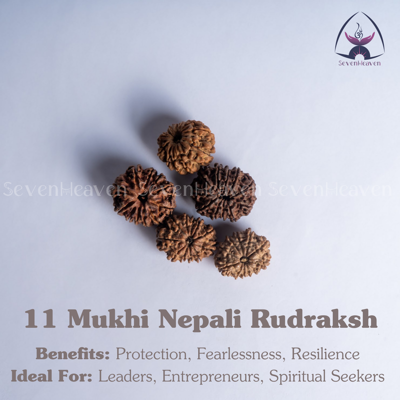 11 Mukhi Nepali Rudraksh