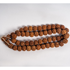 Nepali 5 Mukhi Rudraksha Kantha