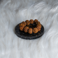 7 Mukhi Nepali Rudraksh Bracelet