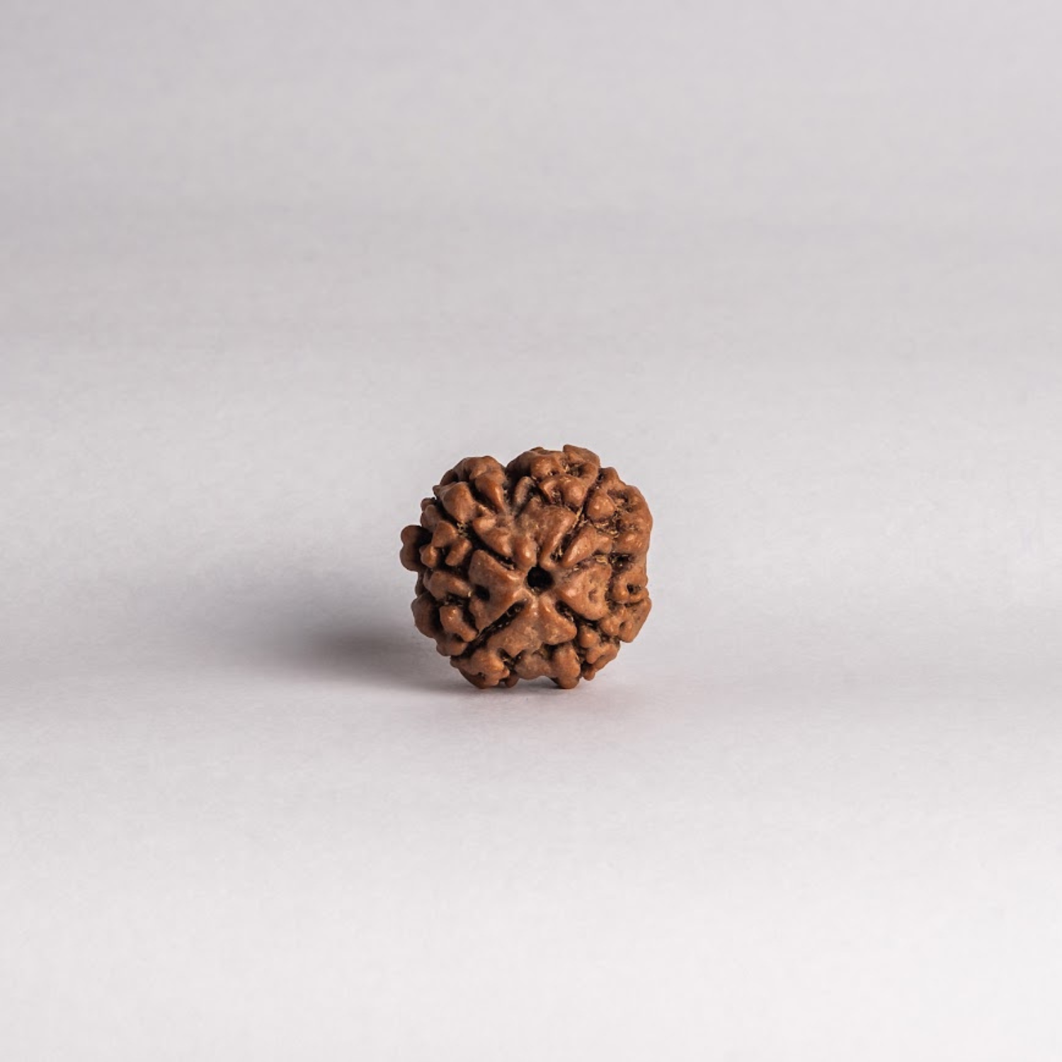 4 Mukhi Rudraksh
