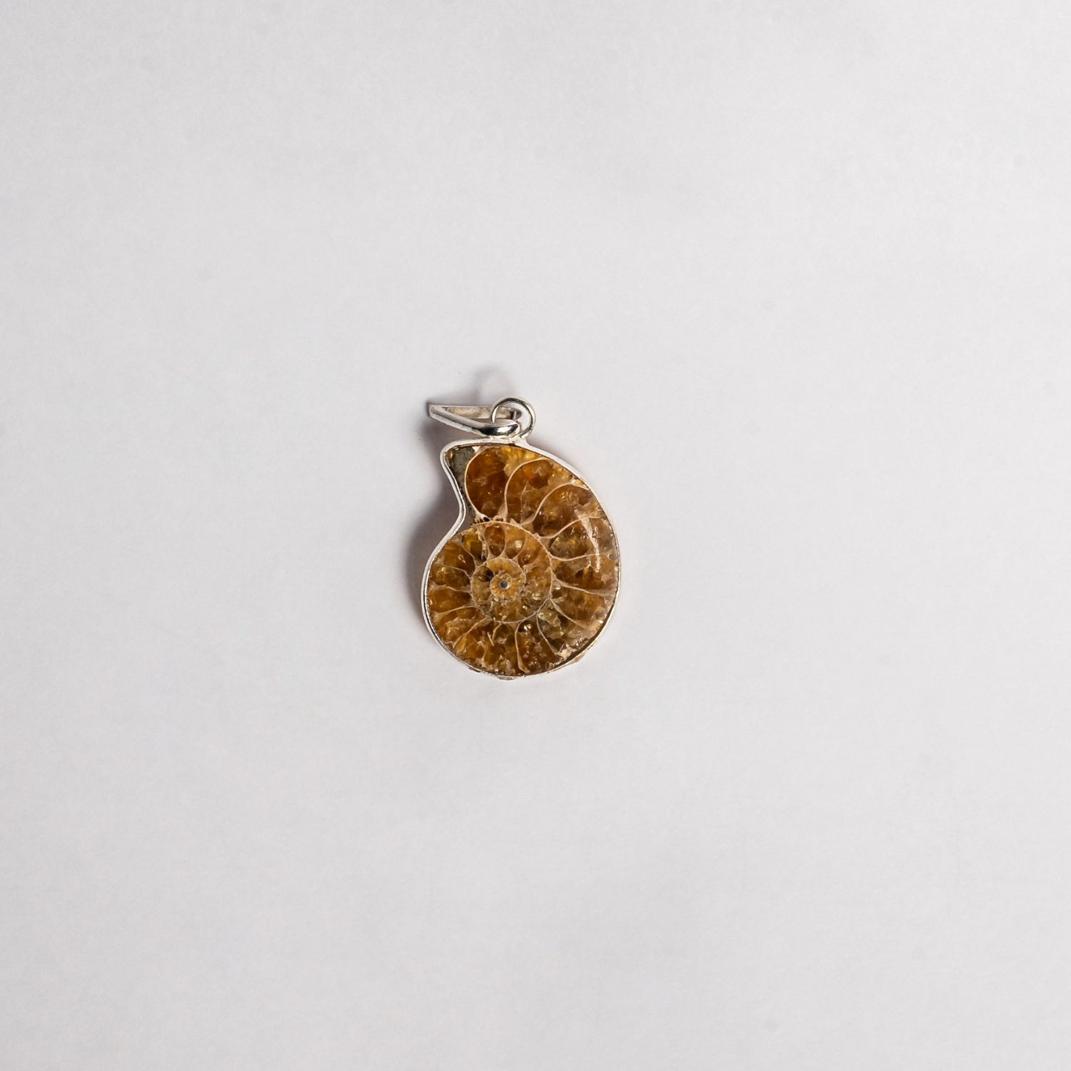 Ammonite Pendant