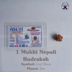 1 Mukhi Nepali Rudraksh