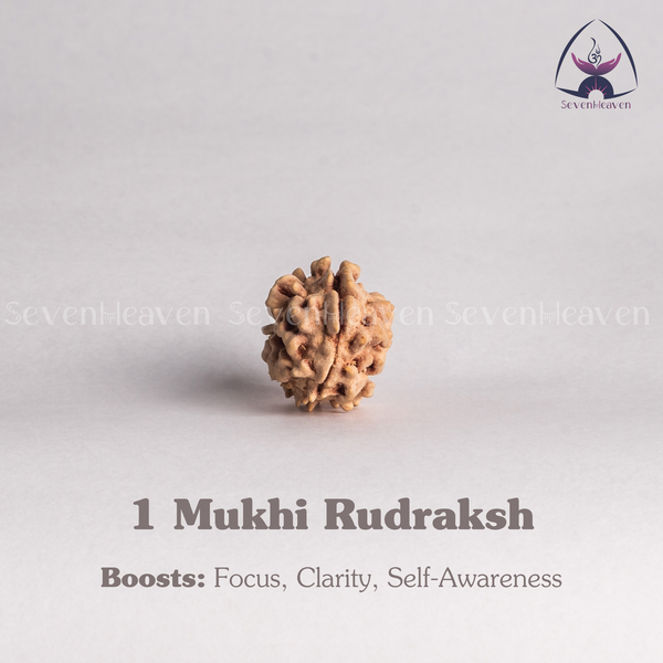 1 Mukhi Rudraksh