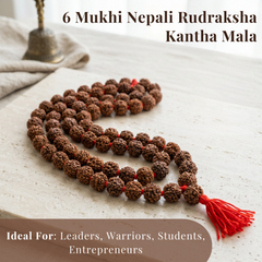 6 Mukhi Nepali Rudraksha Kantha Mala