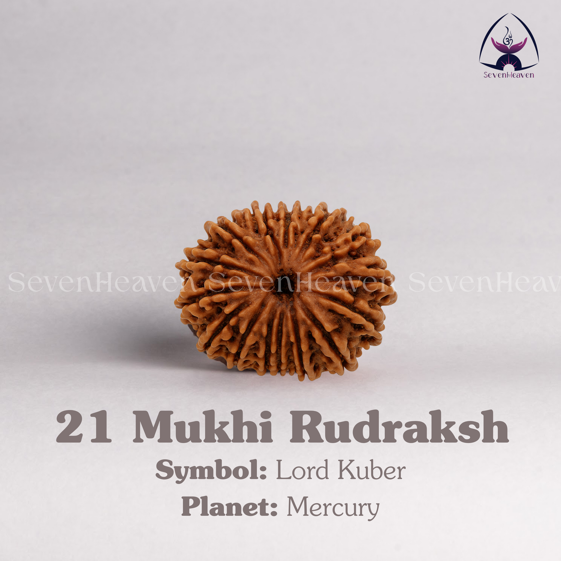 21 Mukhi Rudraksh