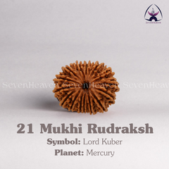 21 Mukhi Rudraksh