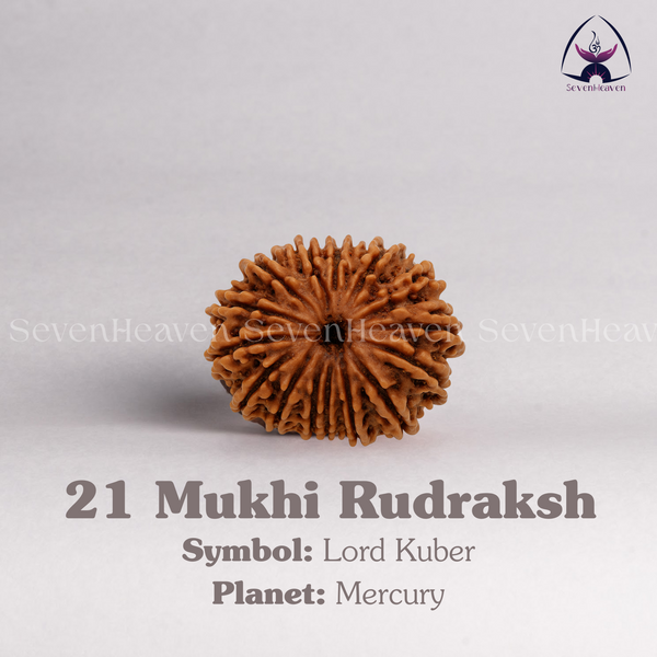 21 Mukhi Rudraksh