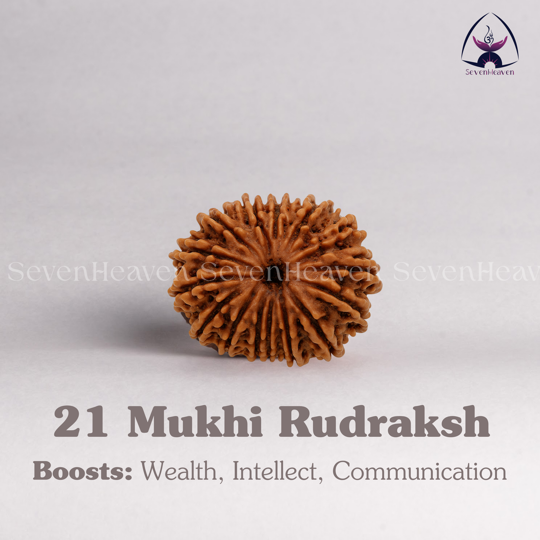 21 Mukhi Rudraksh
