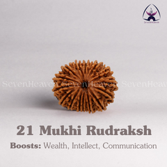21 Mukhi Rudraksh
