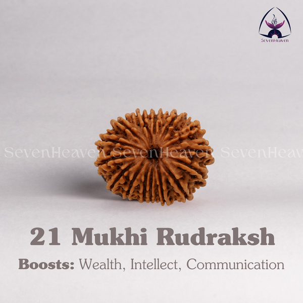 21 Mukhi Rudraksh