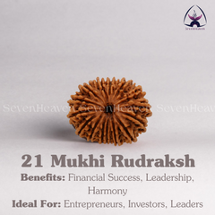 21 Mukhi Rudraksh