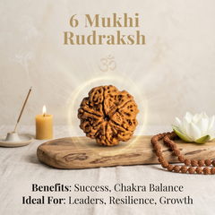 6 Mukhi Rudraksh