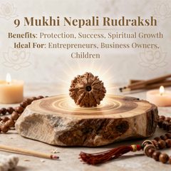 9 Mukhi Nepali Rudraksh