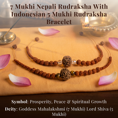7 Mukhi Nepali with Indonesian 5 Mukhi Rudraksh Bracelet