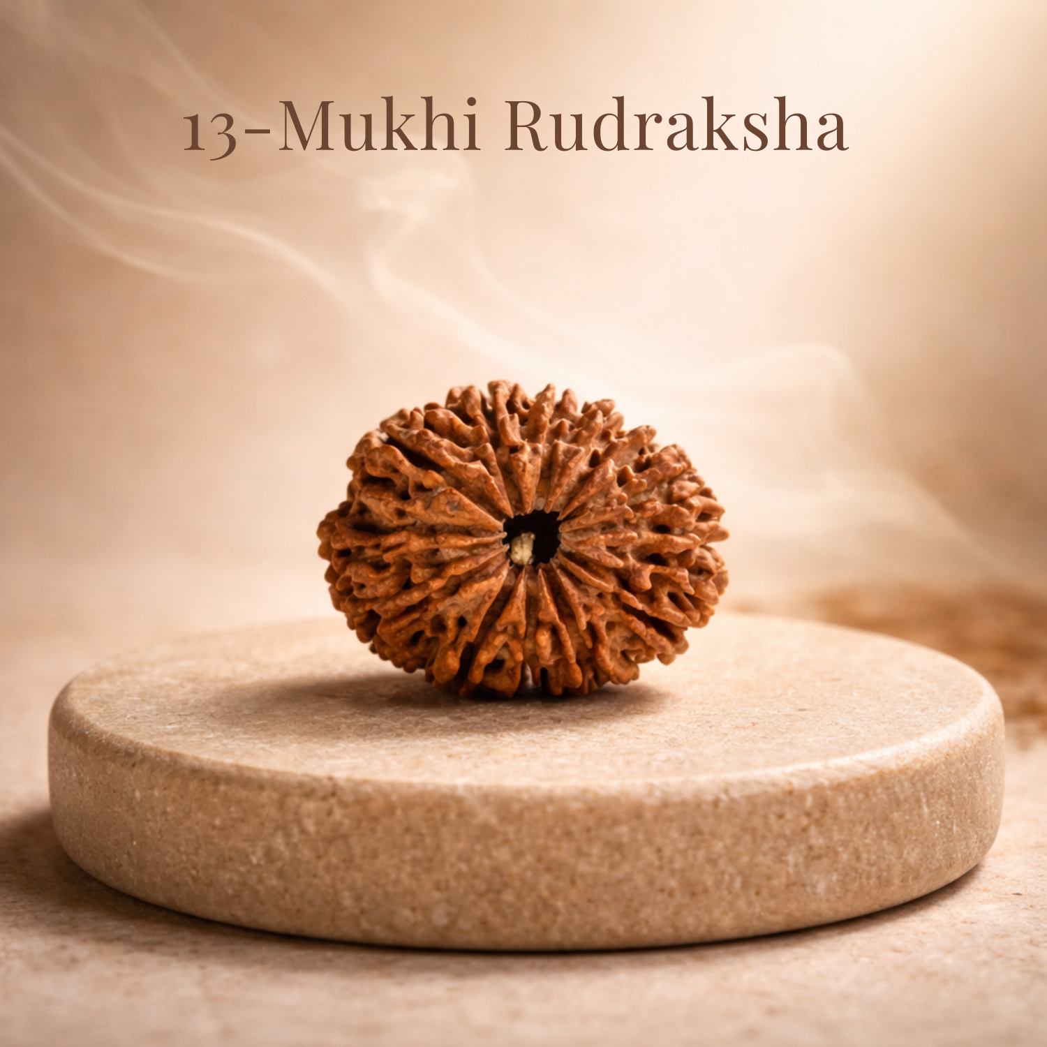13 Mukhi Nepali Rudraksh