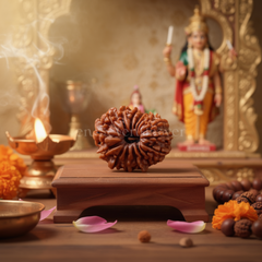 17 Mukhi Rudraksh