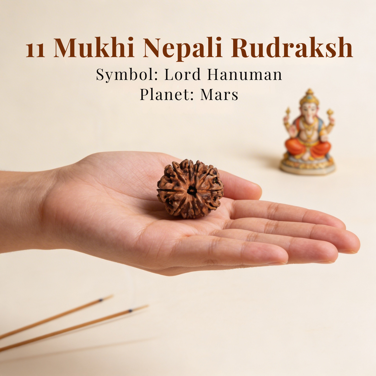 11 Mukhi Nepali Rudraksh
