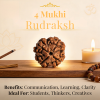 4 Mukhi Rudraksh