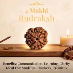 4 Mukhi Rudraksh