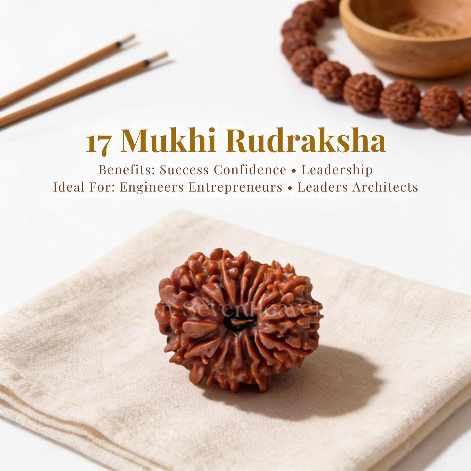 17 Mukhi Rudraksh