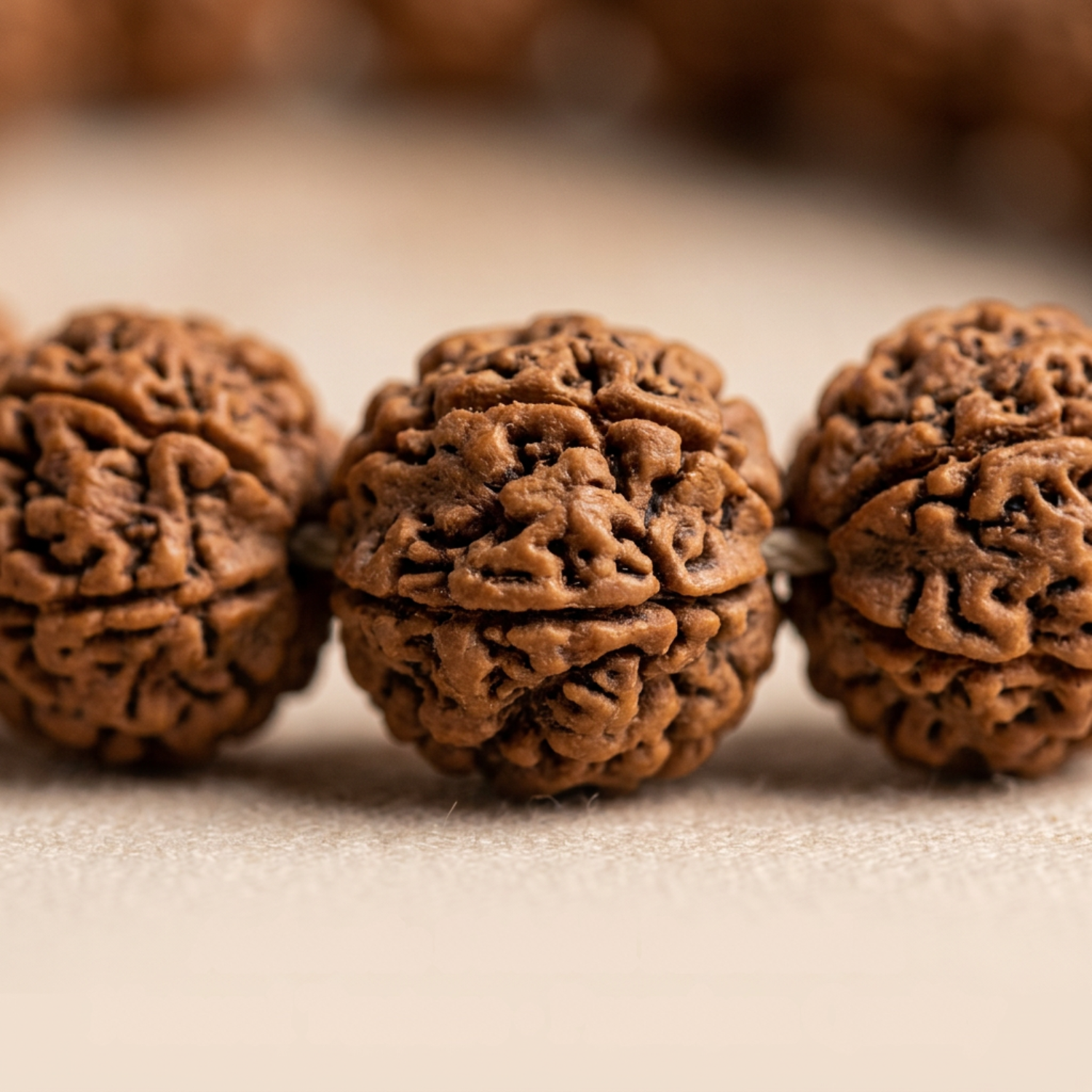 Premium Nepali 5 Mukhi Rudraksha Kantha
