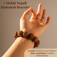 7 Mukhi Nepali Rudraksh Bracelet