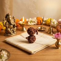 Ganesh Mukhi Rudraksh