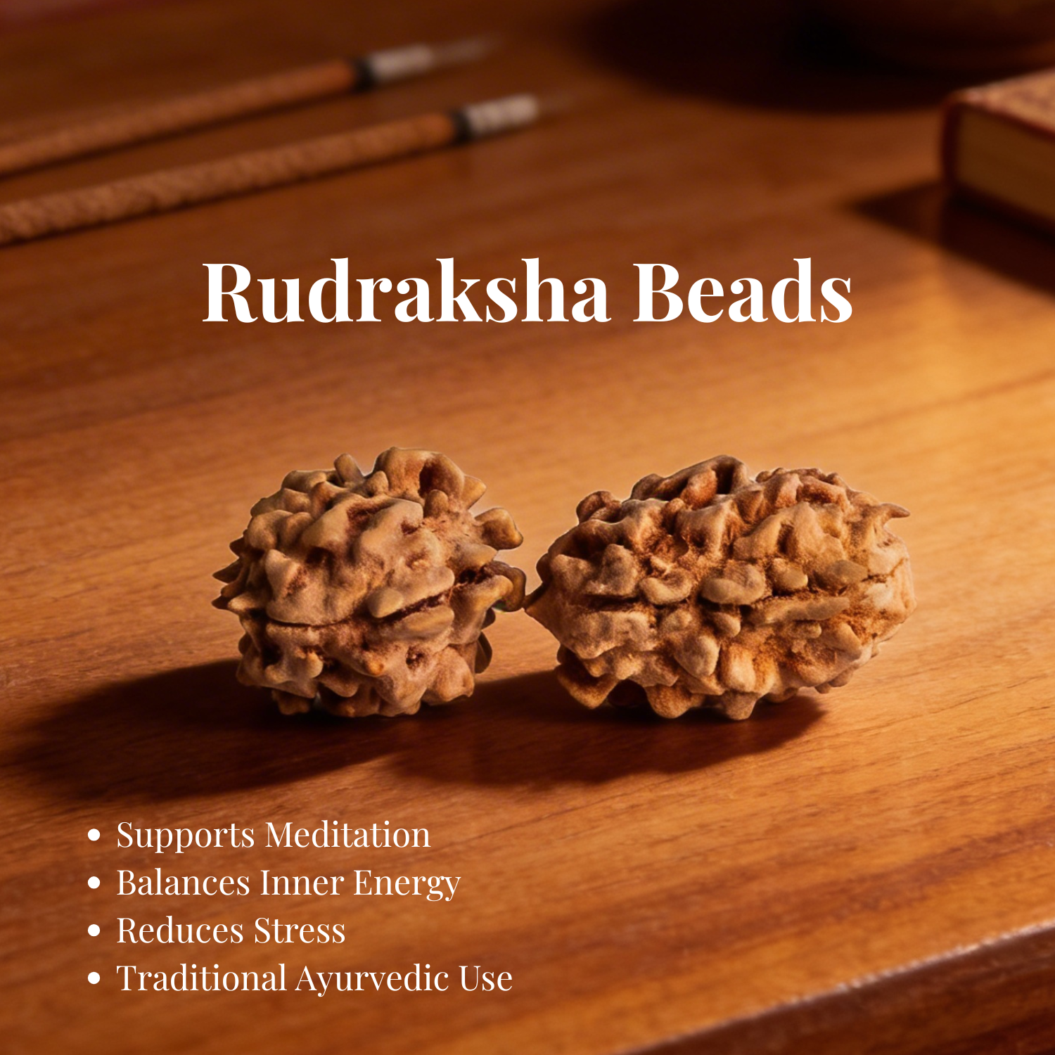 2 Mukhi Indian Origin Rudraksh