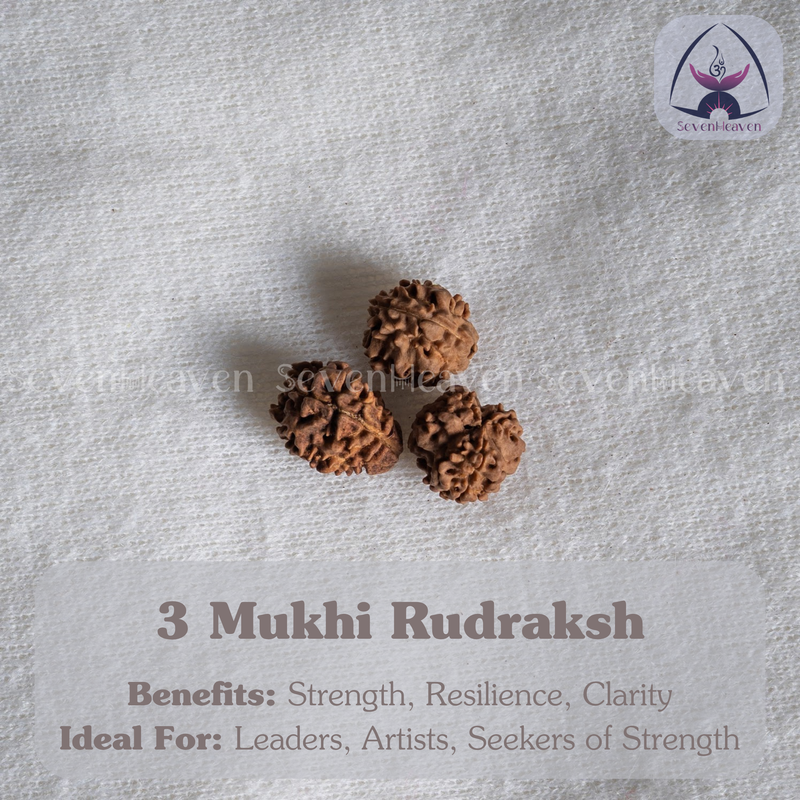 3 Mukhi Rudraksh