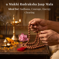 9 Mukhi Rudraksh Jaap Mala