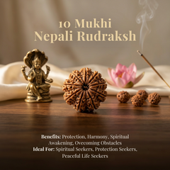 10 Mukhi Nepali Rudraksh