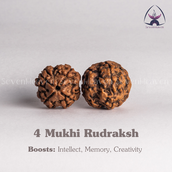 4 Mukhi Rudraksh