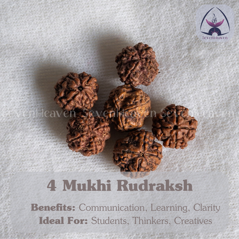 4 Mukhi Rudraksh