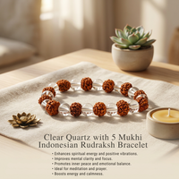 Clear Quartz with 5 Mukhi Indonesian Rudraksh Bracelet