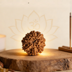 9 Mukhi Nepali Rudraksh