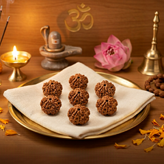 1 Mukhi Nepali Rudraksh