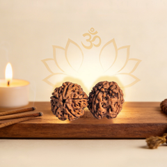 5 Mukhi Nepali Rudraksha Bead for Peace, Wisdom & Spiritual Growth