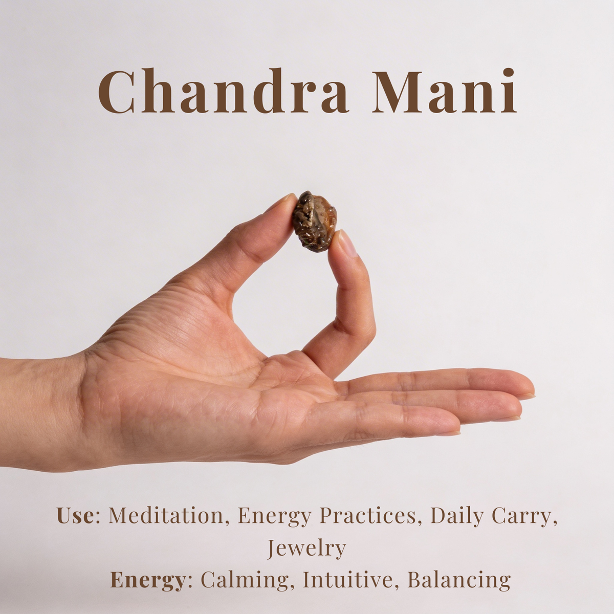 Chandra Mani