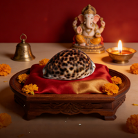 Raj Kodi or Laxmi Tiger Kodi