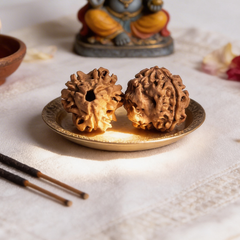 3 Mukhi Rudraksh
