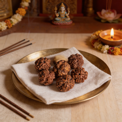 4 Mukhi Rudraksh
