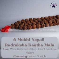 6 Mukhi Nepali Rudraksha Kantha Mala