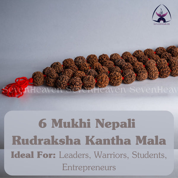 6 Mukhi Nepali Rudraksha Kantha Mala