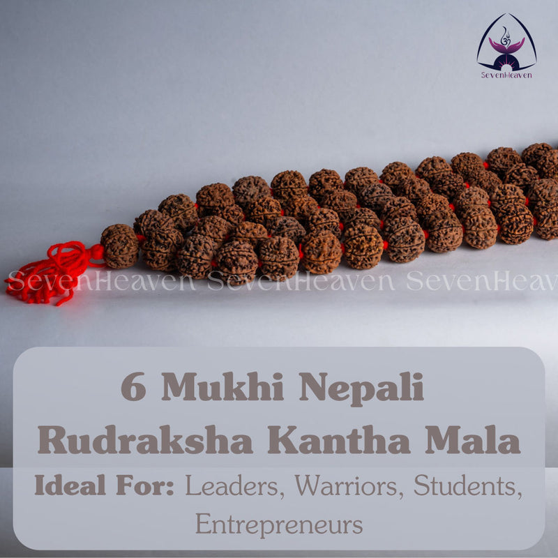 6 Mukhi Nepali Rudraksha Kantha Mala