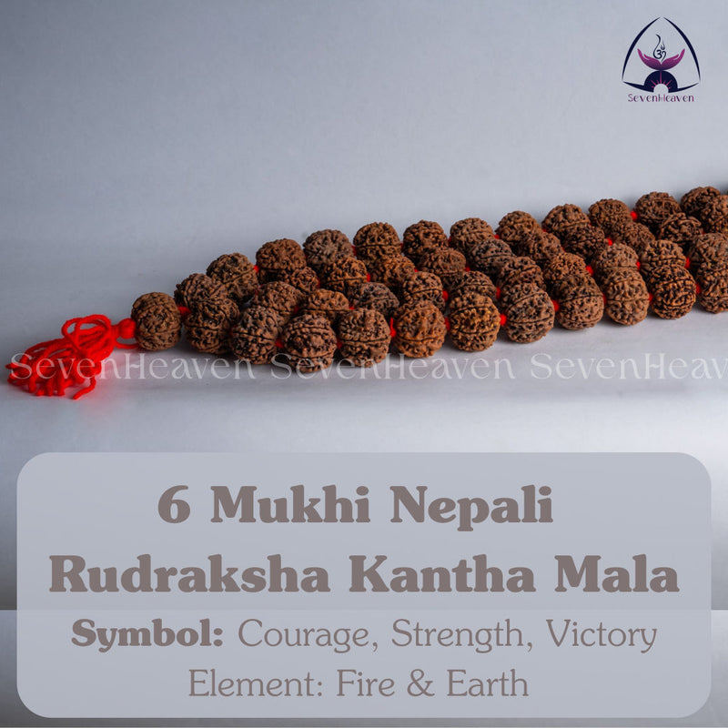 6 Mukhi Nepali Rudraksha Kantha Mala
