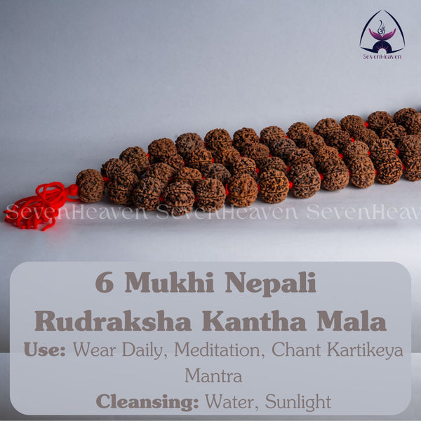 6 Mukhi Nepali Rudraksha Kantha Mala